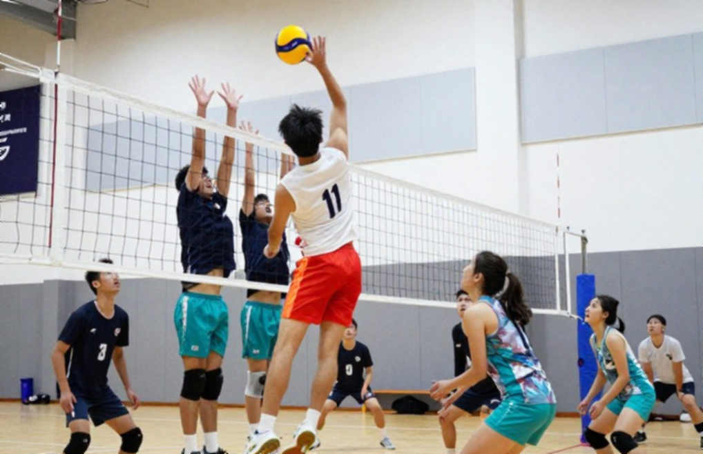 Pitt leo lên số 1 NCAA: Khi lời khen 'không giới hạn' che lấp khoảng trống thống kê