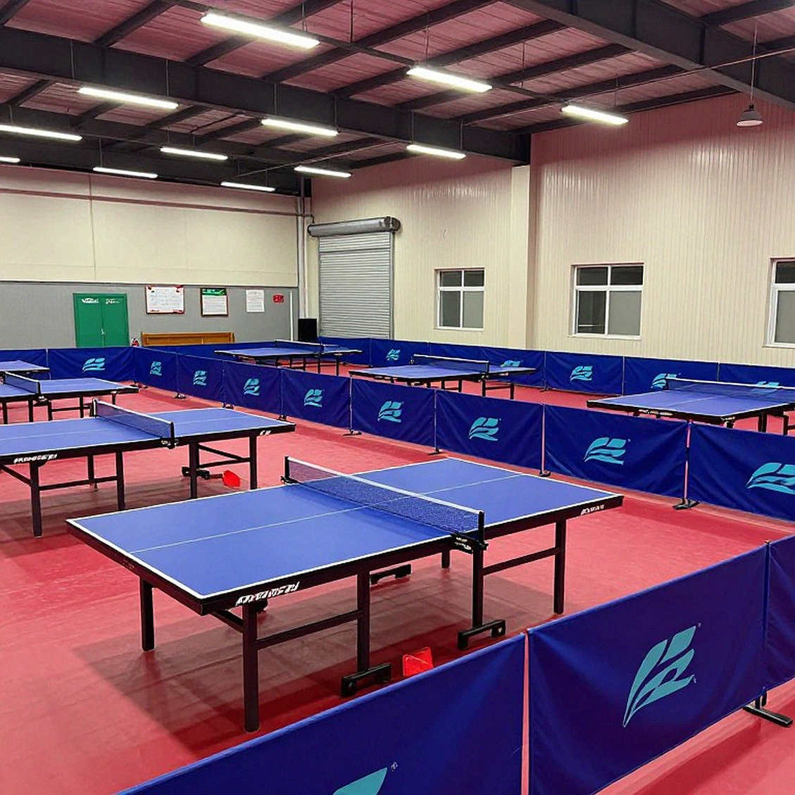 Bỉ Mở rộng 2026: LAINE và PINTO vô địch U21, nhưng khoảng cách U21 - đơn người lớn mới là dữ liệu đáng bàn