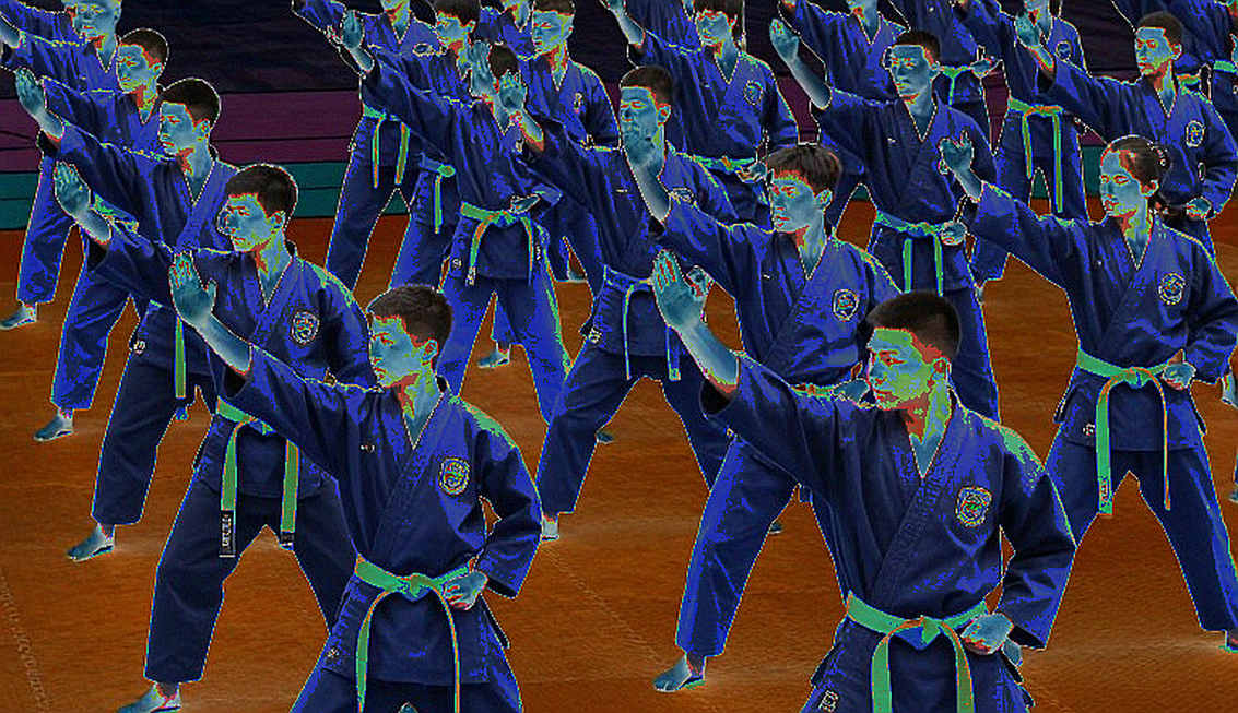 Martial Arts and the Empty Data Cells: When the Analyst Rebuilds the Fight in His Own Head