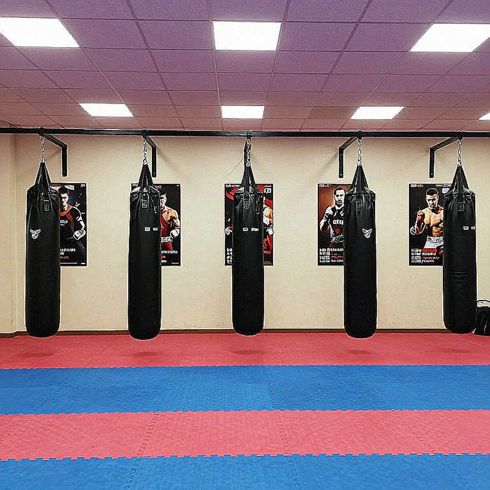 Taekwondo Việt Nam tại Asiad 2026: Đọc tấm huy chương qua cảm biến, không qua khán đài Taekwondo Việt Nam tại Asiad 2026: Đọc tấm huy chương qua cảm biến, không qua khán đài