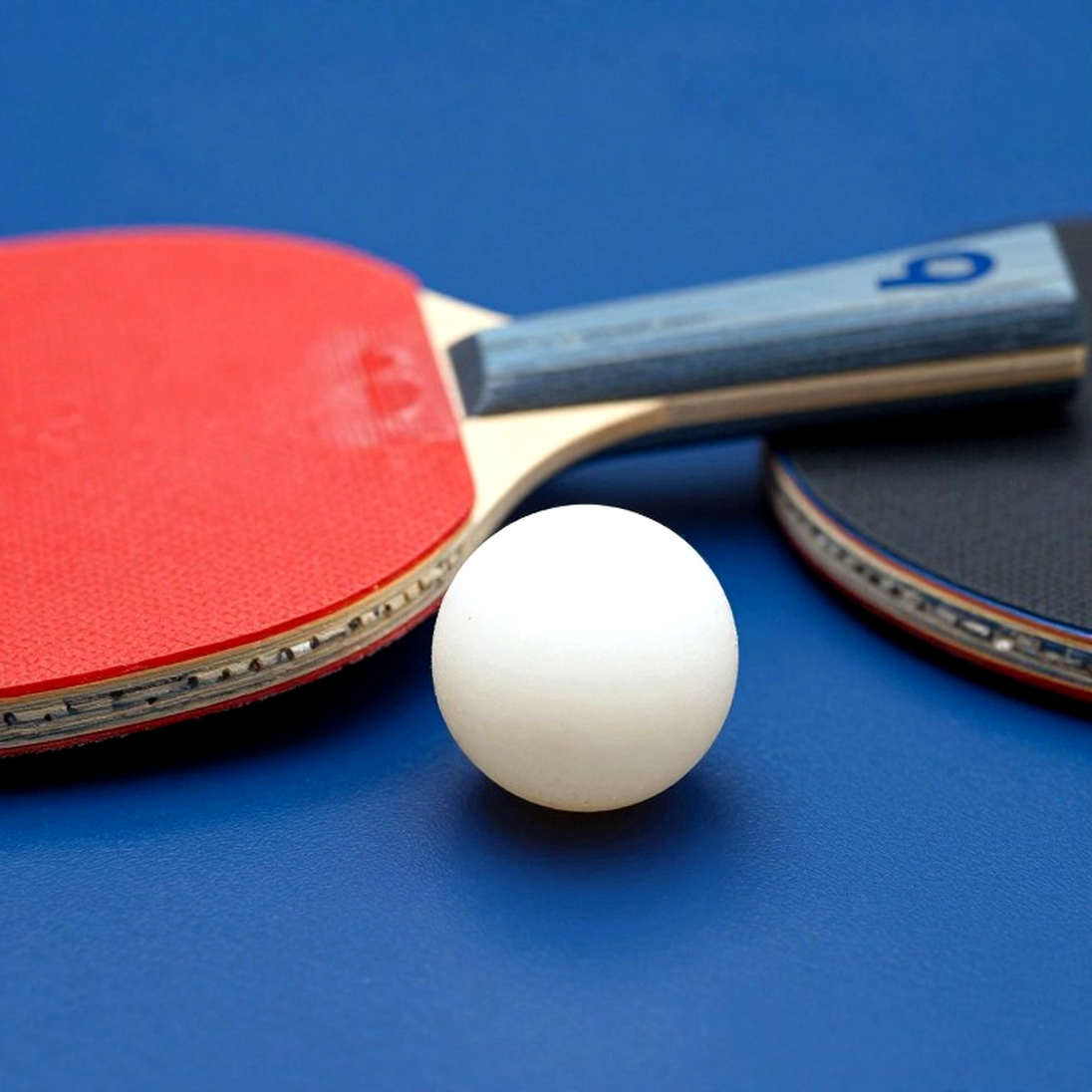 WTT Champions Macao 2026: Hursey, Jarvis và khoảng cách từ hạng 475 tới hạng 3 WTT Champions Macao 2026: Hursey, Jarvis và khoảng cách từ hạng 475 tới hạng 3