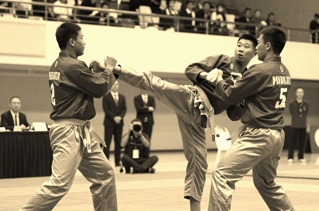 Vietnamese Martial Arts on the Eve of Asian Games 2026: Between Local Ambition and Integration Pressure Vietnamese Martial Arts on the Eve of Asian Games 2026: Between Local Ambition and Integration Pressure