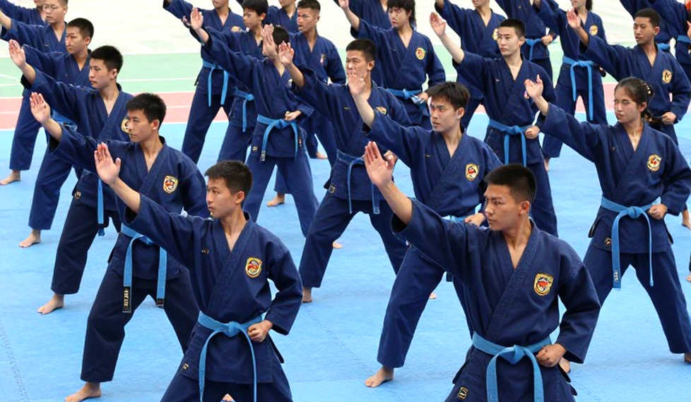 Vietnamese Combat Sports: When a Medal Doesn't Tell the Whole Story of the System